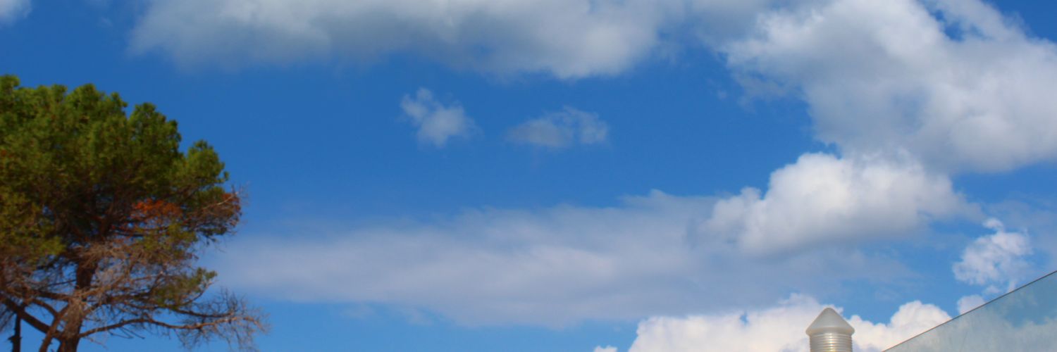 macitnazm's profile banner image