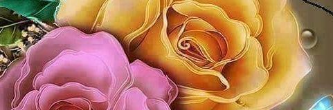 Sondusalbedrawi's profile banner image