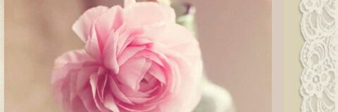 14019Fofo's profile banner image
