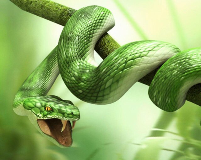 FC_Viper's profile banner image
