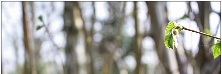 5Kaffeespaeter's profile banner image