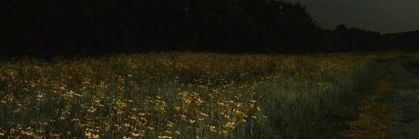 c banner