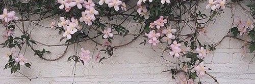 Mata_Winnie_'s profile banner image