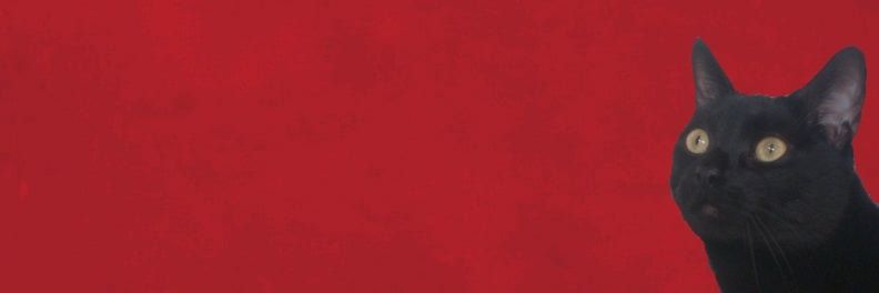 bconway87's profile banner image