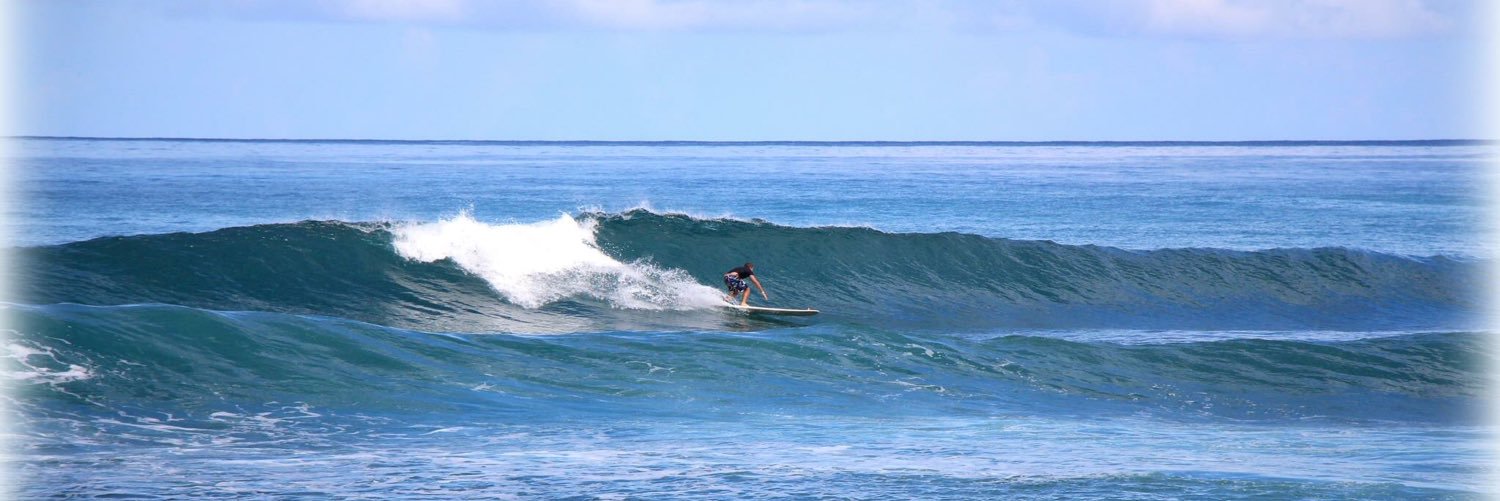 Christian Hurston banner