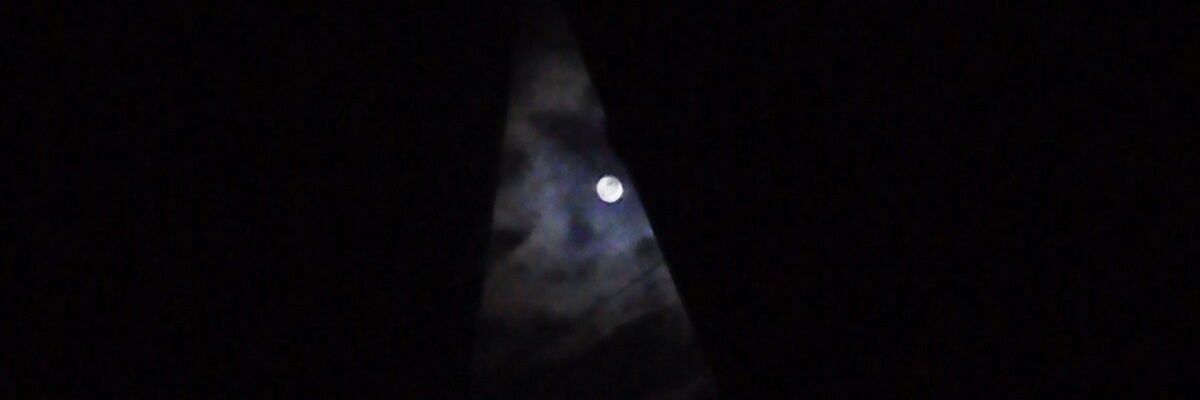 sanarity's profile banner image