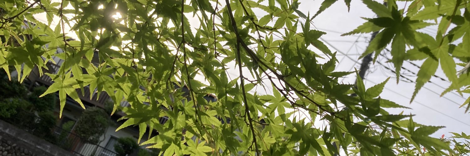 さんごーと banner