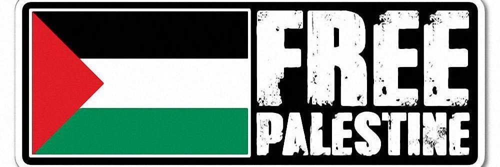 Fenômeno 🍉's banner