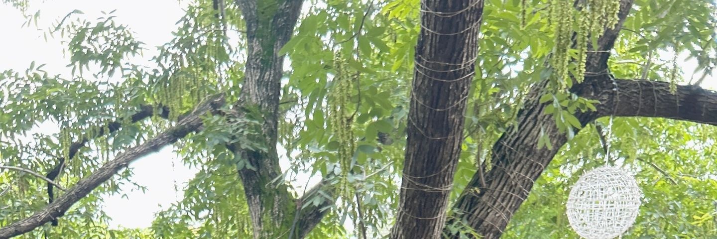 🎠小豆豆🧸 banner