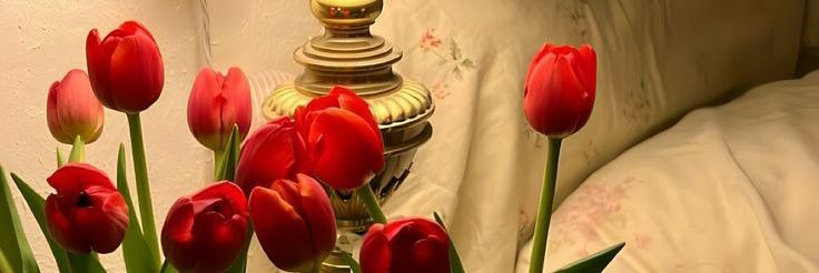 skyebidi banner