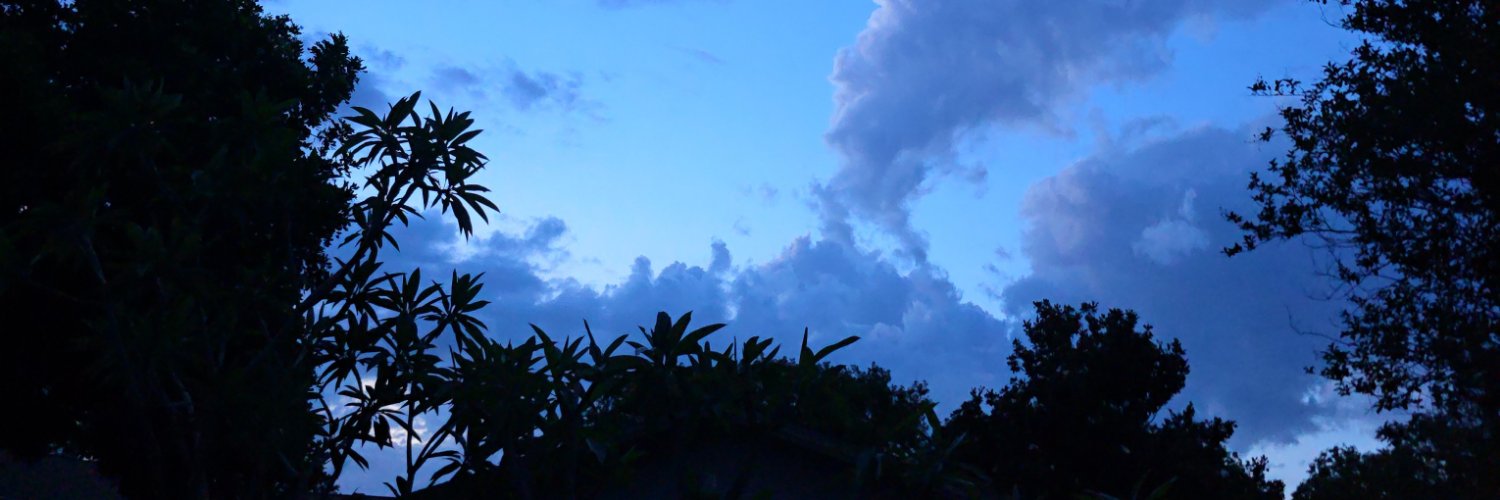 KillerFishTampa's profile banner image