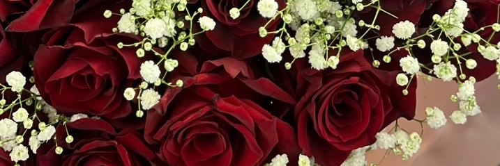 mashadiii's profile banner image