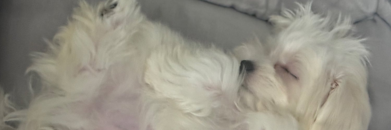RUHUUUN's profile banner image