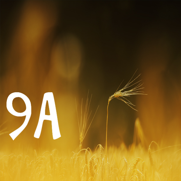 9A_2514's profile banner image