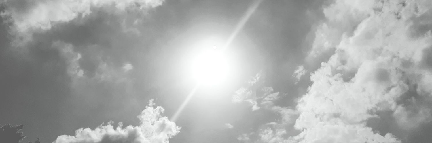 cyaneui's profile banner image