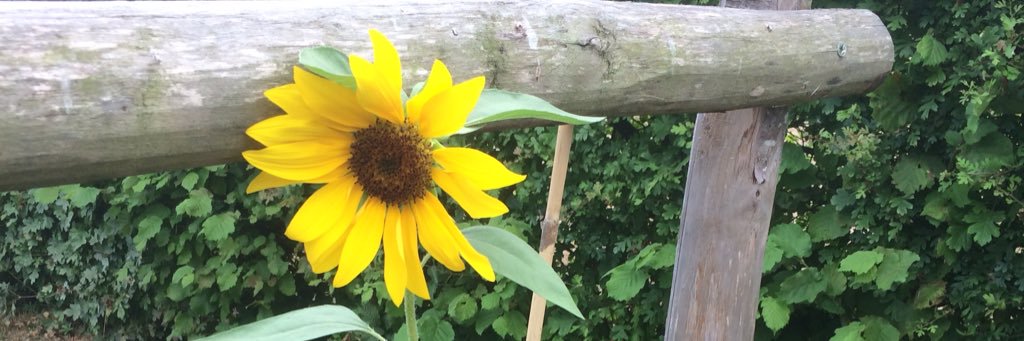 GaelleLapert's profile banner image