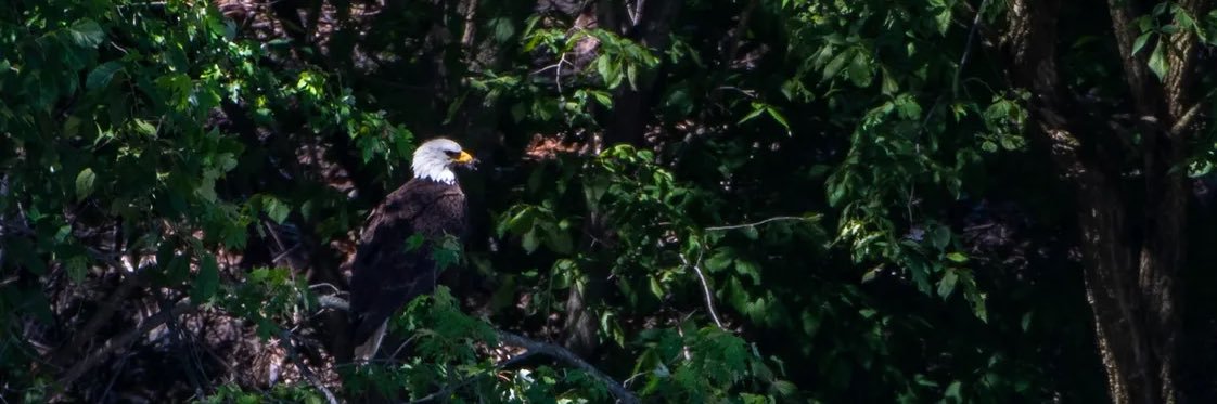 Timesonline.com banner