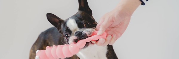 iggy_329 Profile Banner