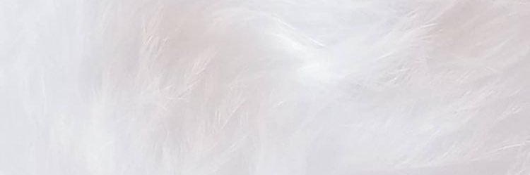 yn3xl's profile banner image