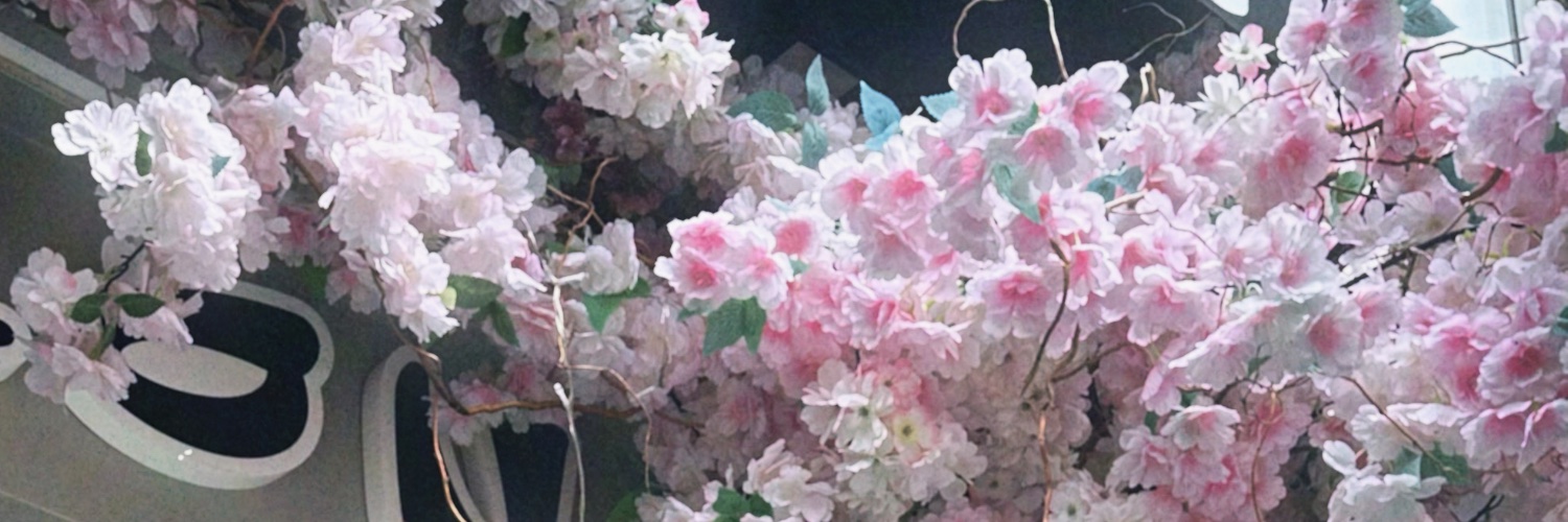 ݁nes banner