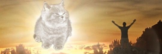 junejuneste's profile banner image