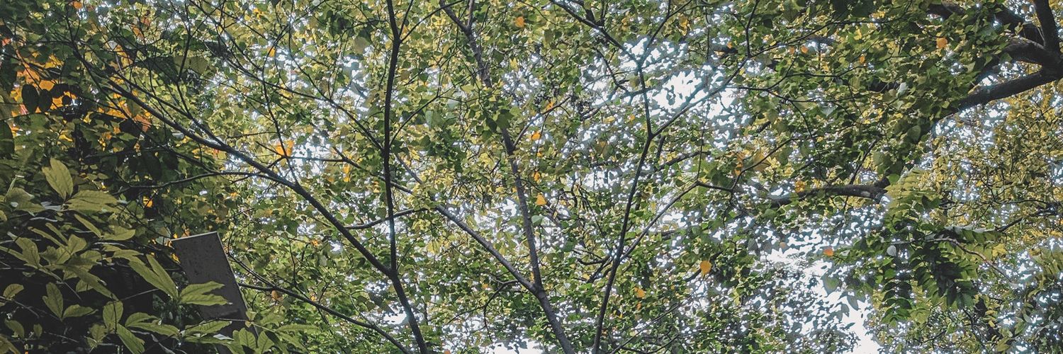 furqonde's profile banner image