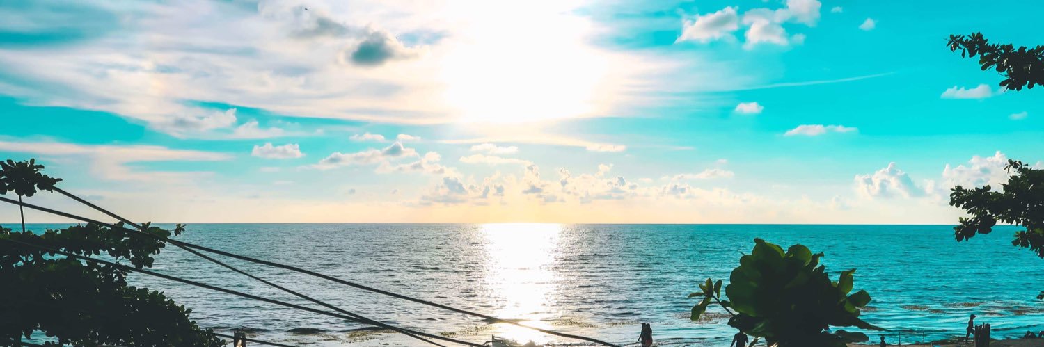 avroydomingo's profile banner image