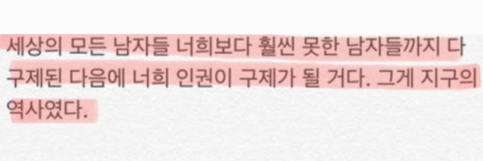 여름거북이☀️🥖🌹☂️ banner