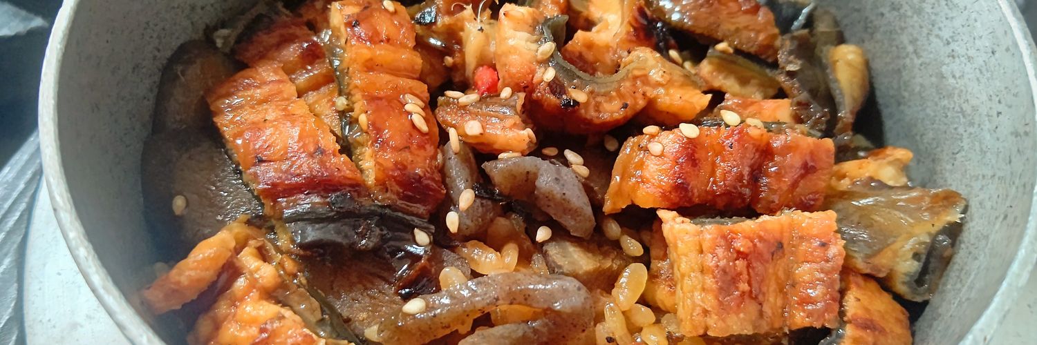 プラナスGOGO banner