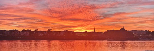 stefan1121983 Profile Banner