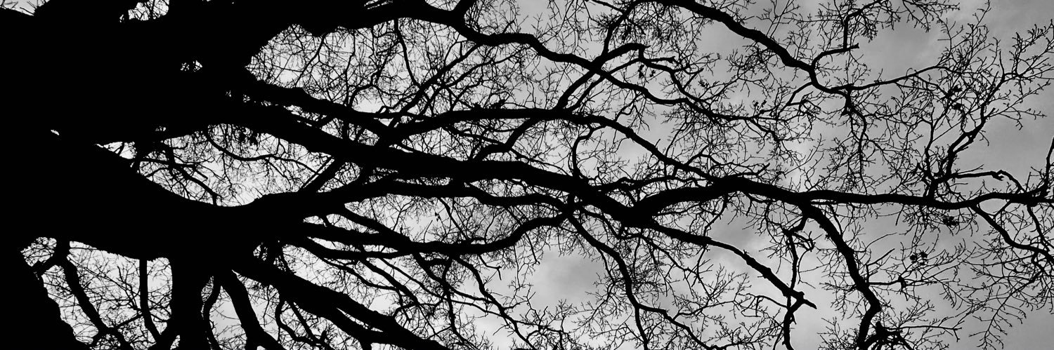 doeschel.bsky.social banner