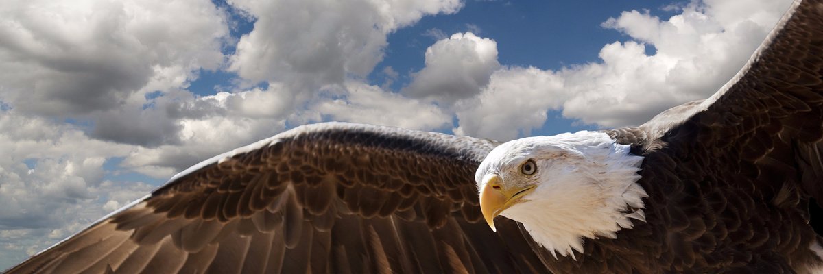 ghulamullah_'s profile banner image