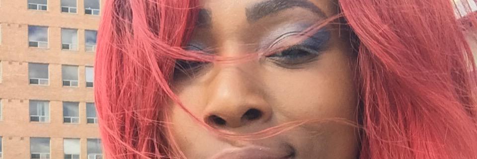 chanteliscious's profile banner image