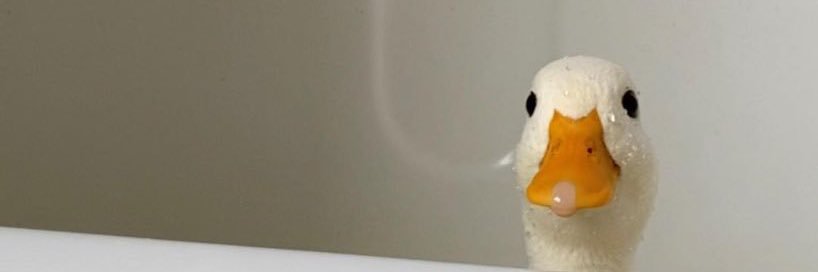 scnprint's profile banner image