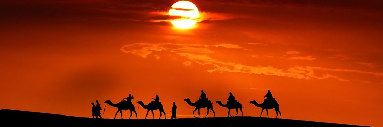 تاريخ الإبل banner