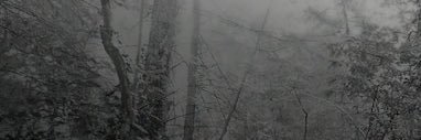 NovaWraith's profile banner image
