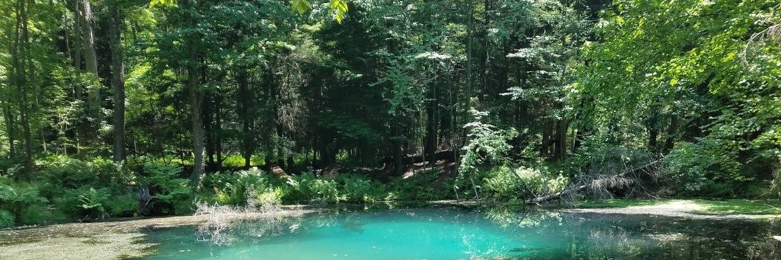 The Kecksburg Alien 🇺🇸🍀🚀🌲 banner