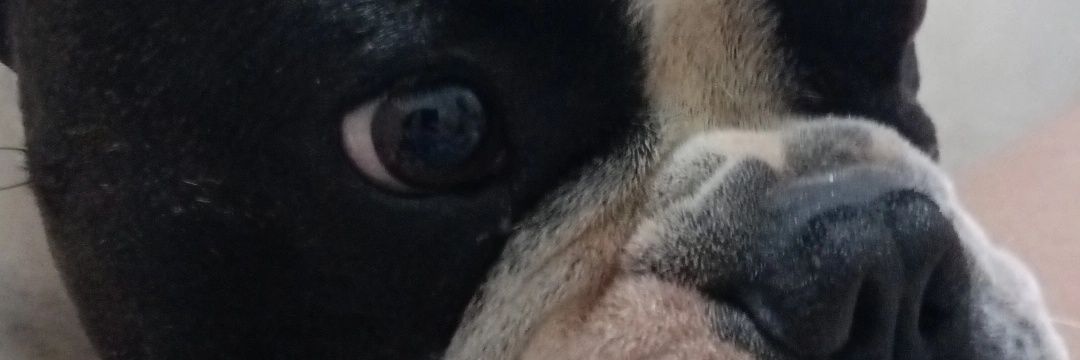 puro ódio banner