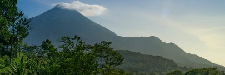 Yani06_Exotics's profile banner image