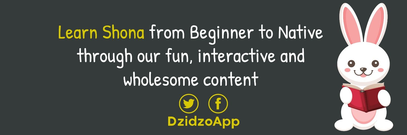 DzidzoApp's profile banner image