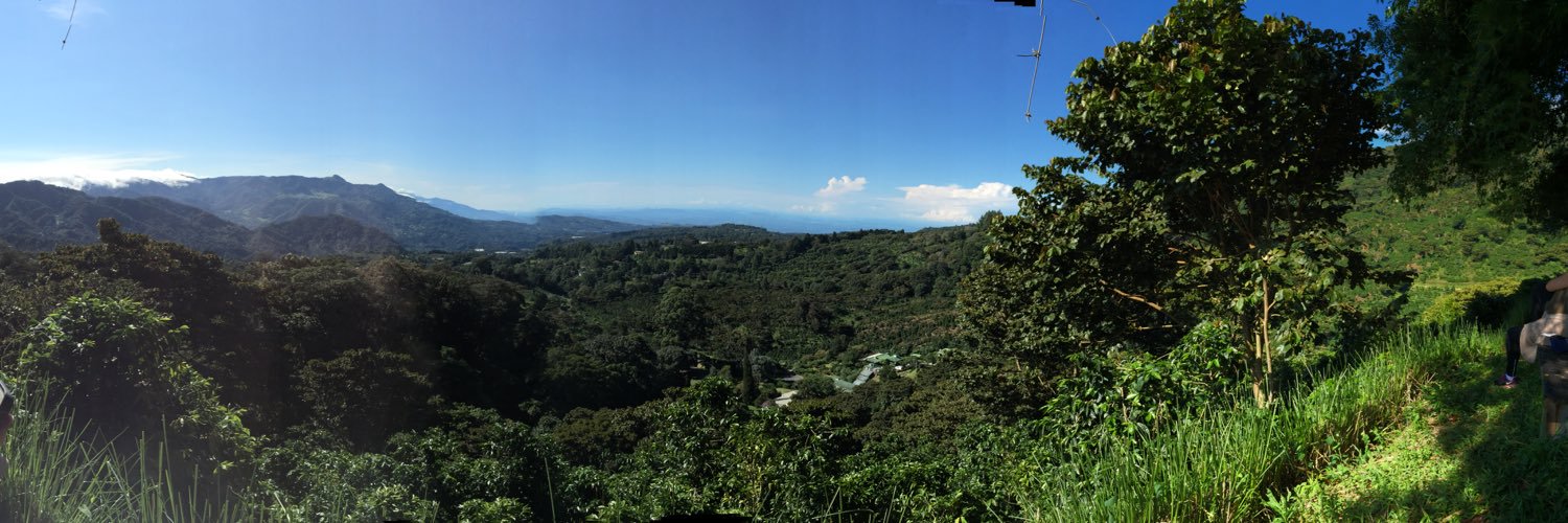 MiguelCereceda's profile banner image