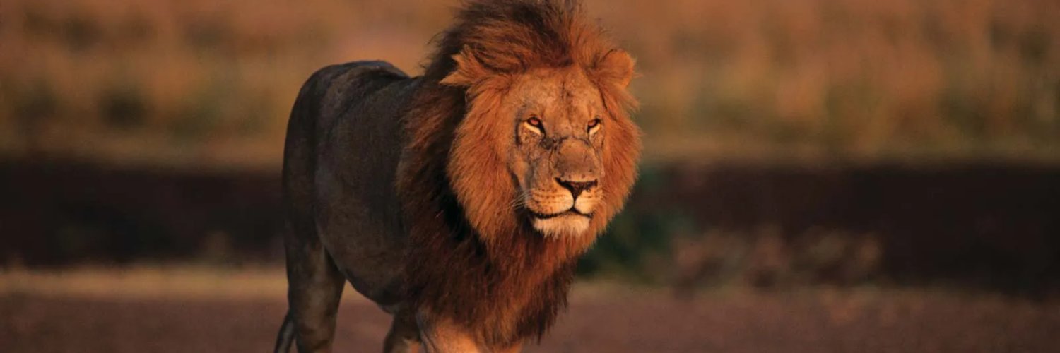 Munford Middle School banner