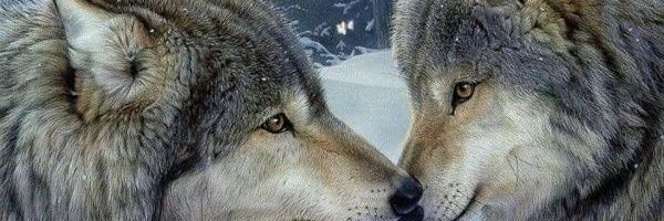 AGERARDOMP's profile banner image