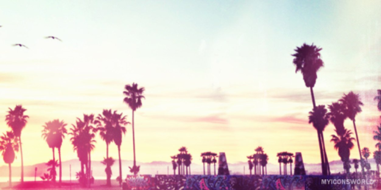 wclverines's profile banner image