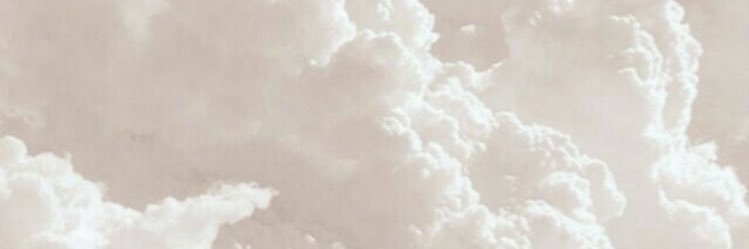 sofiasgon's profile banner image