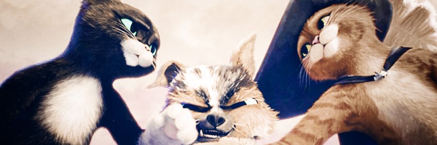 — 𝙺𝙸𝚃𝚃𝚈. ♡̷̸⁩ banner