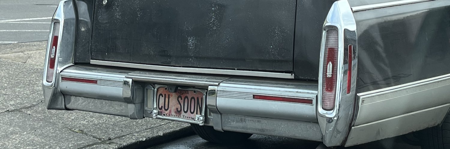 donna_bummer's profile banner image