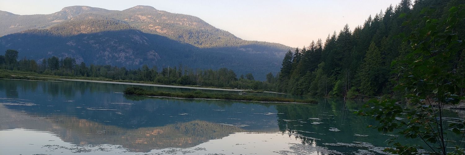 Sandeep Sidhu (she/her) banner