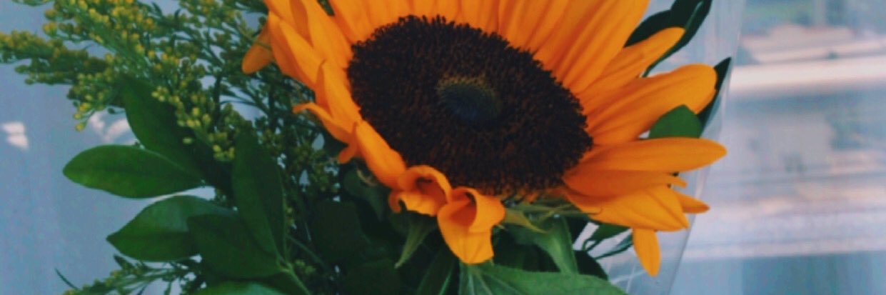 duhgianfelice's profile banner image