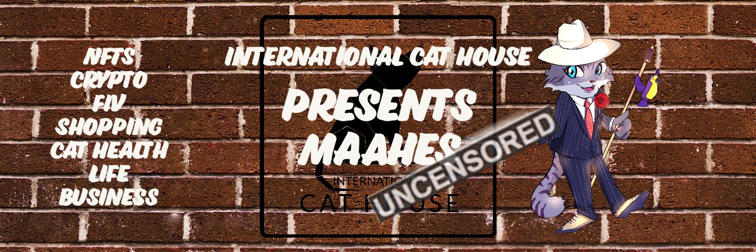 International Cat House, LLC banner